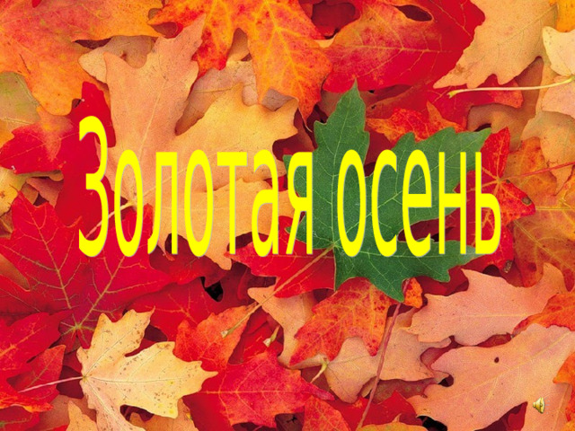 ДАРЫ ОСЕНИ 