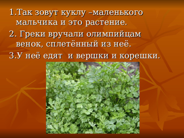 1.Так зовут куклу –маленького мальчика и это растение. 2. Греки вручали олимпийцам венок, сплетённый из неё. 3.У неё едят и вершки и корешки. 