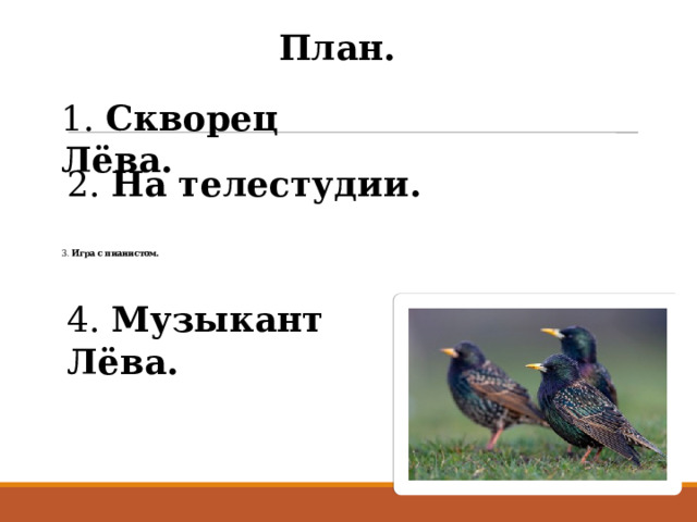 План. 1. Скворец Лёва. 2. На телестудии.      3. Игра с пианистом. 4. Музыкант Лёва. 