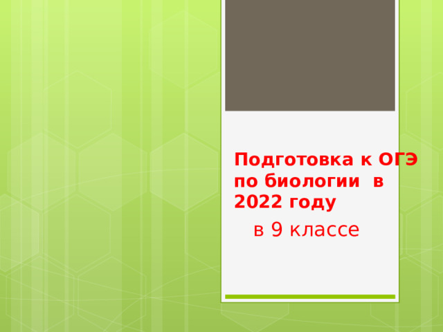 Какое общее свойство живых систем иллюстрирует данное изображение лошади