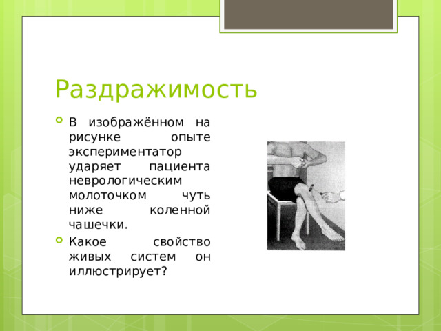 Раздражимость В изображённом на рисунке опыте экспериментатор ударяет пациента неврологическим молоточком чуть ниже коленной чашечки. Какое свойство живых систем он иллюстрирует? 