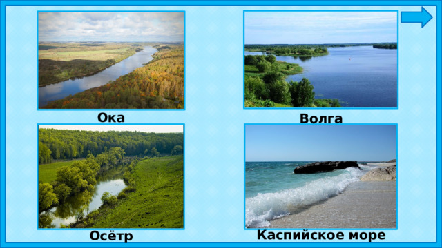 Ока Волга Каспийское море Осётр 
