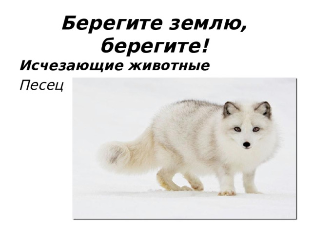 Станция песец карта
