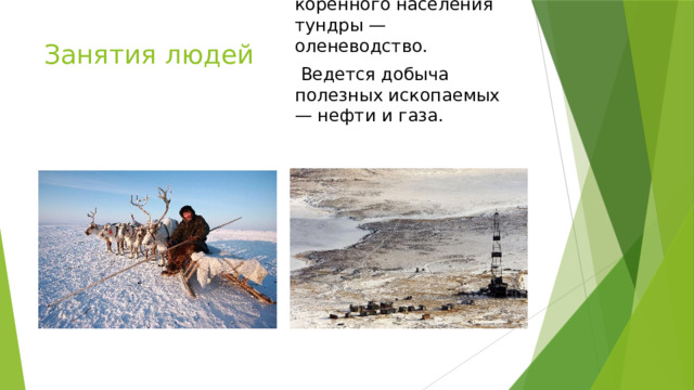 Занятие коренного населения тундры