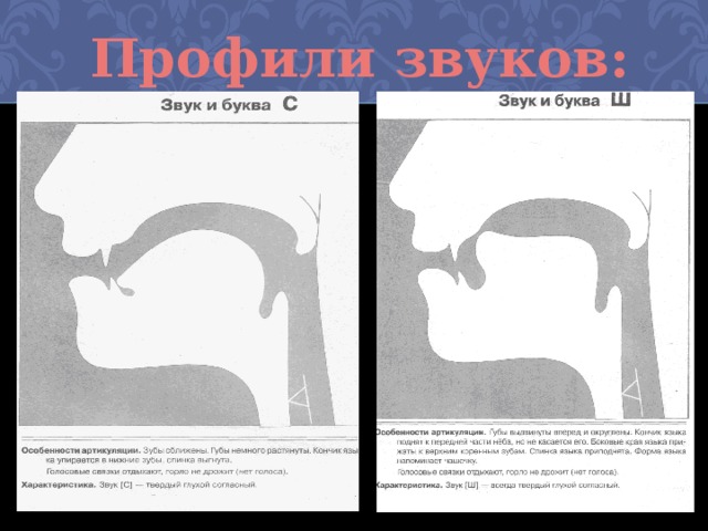 Артикуляция голоса. Артикуляционный профиль звука ш. Артикуляторный профиль звука с. Профиль артикуляции звука ж. Артикуляционный профиль звука с.