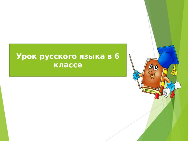 Урок русского языка в 6 классе 