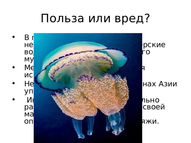 Польза или вред? В природе медузы приносят некоторую пользу, очищая морские воды от мелкого органического мусора. Медузы ещё со средневековья используются в медицине. Некоторые виды медуз в странах Азии употребляют в пищу.  Иногда медузы настолько сильно размножаются, что забивают своей массой отстойники воды в опреснителях, загрязняют пляжи.  