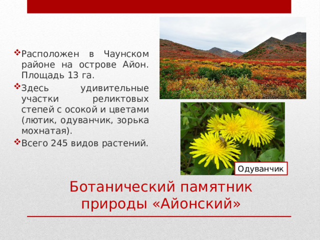 Расположен в Чаунском районе на острове Айон. Площадь 13 га. Здесь удивительные участки реликтовых степей с осокой и цветами (лютик, одуванчик, зорька мохнатая). Всего 245 видов растений. Одуванчик Ботанический памятник природы «Айонский» 