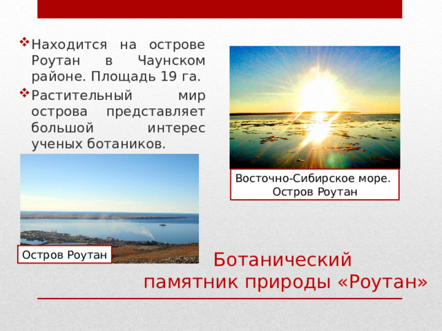 Находится на острове Роутан в Чаунском районе. Площадь 19 га. Растительный мир острова представляет большой интерес ученых ботаников. Восточно-Сибирское море. Остров Роутан Ботанический памятник природы «Роутан» Остров Роутан 