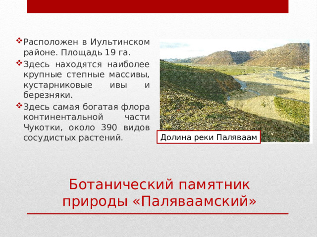 Расположен в Иультинском районе. Площадь 19 га. Здесь находятся наиболее крупные степные массивы, кустарниковые ивы и березняки. Здесь самая богатая флора континентальной части Чукотки, около 390 видов сосудистых растений. Долина реки Паляваам Ботанический памятник природы «Паляваамский» 