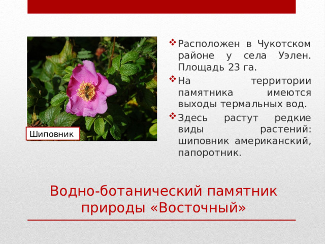 Расположен в Чукотском районе у села Уэлен. Площадь 23 га. На территории памятника имеются выходы термальных вод. Здесь растут редкие виды растений: шиповник американский, папоротник. Шиповник Водно-ботанический памятник природы «Восточный» 