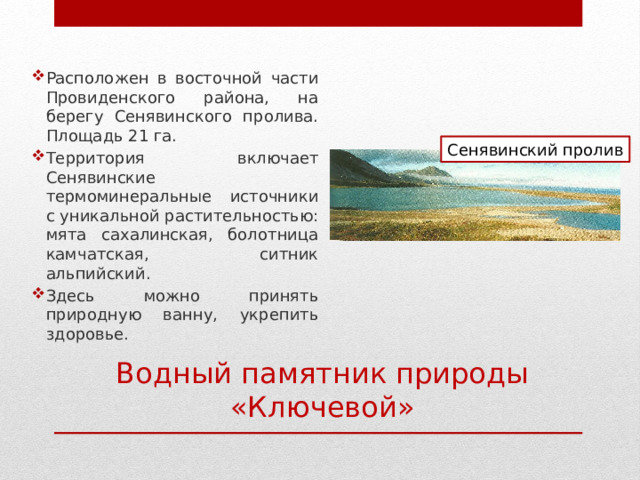 Расположен в восточной части Провиденского района, на берегу Сенявинского пролива. Площадь 21 га. Территория включает Сенявинские термоминеральные источники с уникальной растительностью: мята сахалинская, болотница камчатская, ситник альпийский. Здесь можно принять природную ванну, укрепить здоровье. Сенявинский пролив Водный памятник природы «Ключевой» 