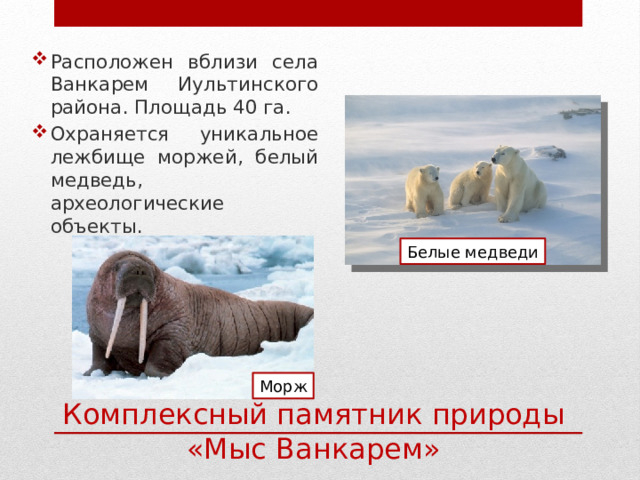 Расположен вблизи села Ванкарем Иультинского района. Площадь 40 га. Охраняется уникальное лежбище моржей, белый медведь, археологические объекты. Белые медведи Морж Комплексный памятник природы «Мыс Ванкарем» 