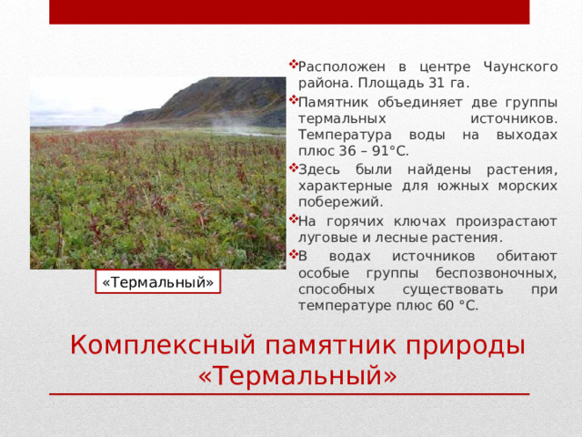 Расположен в центре Чаунского района. Площадь 31 га. Памятник объединяет две группы термальных источников. Температура воды на выходах плюс 36 – 91 °С. Здесь были найдены растения, характерные для южных морских побережий. На горячих ключах произрастают луговые и лесные растения. В водах источников обитают особые группы беспозвоночных, способных существовать при температуре плюс 60 °С. «Термальный» Комплексный памятник природы «Термальный» 