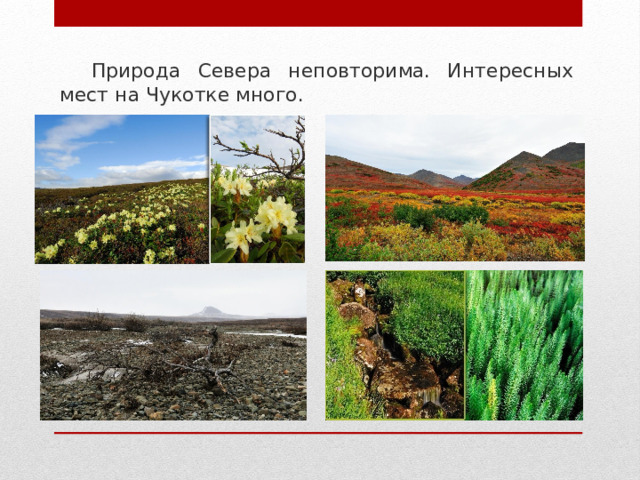 Природа Севера неповторима. Интересных мест на Чукотке много. 