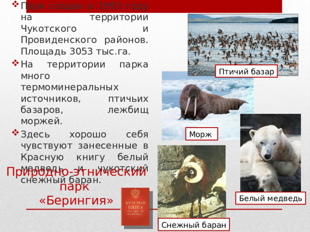Парк создан в 1993 году на территории Чукотского и Провиденского районов. Площадь 3053 тыс.га. На территории парка много термоминеральных источников, птичьих базаров, лежбищ моржей. Здесь хорошо себя чувствуют занесенные в Красную книгу белый медведь и чукотский снежный баран. Птичий базар Морж Природно-этнический парк  «Берингия» Белый медведь Снежный баран 