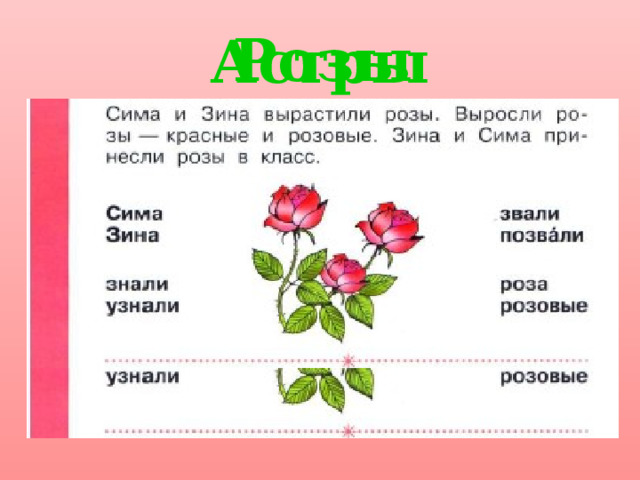 Розы Астры 