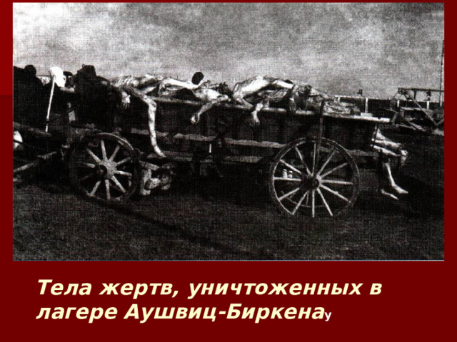 Тела жертв, уничтоженных в лагере Аушвиц-Биркена у 