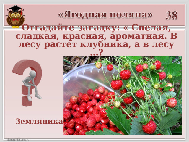 Отгадайте загадку: « Спелая, сладкая, красная, ароматная. В лесу растет клубника, а в лесу …? Земляника  