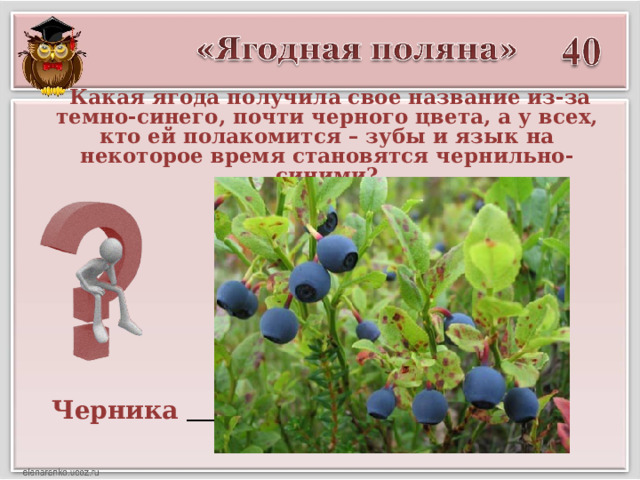  Какая ягода получила свое название из-за темно-синего, почти черного цвета, а у всех, кто ей полакомится – зубы и язык на некоторое время становятся чернильно-синими? Черника  