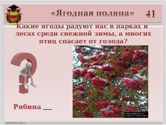 Какие ягоды радуют нас в парках и лесах среди снежной зимы, а многих птиц спасает от голода? Рябина  