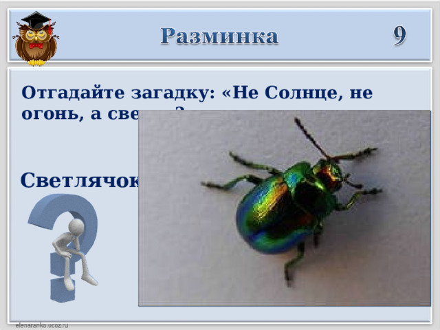 Отгадайте загадку: «Не Солнце, не огонь, а светит?» Светлячок    