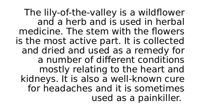 The lily-of-the-valley is a wildflower and a herb and is used in herbal medicine. The stem with the flowers is the most active part. It is collected and dried and used as a remedy for a number of different conditions mostly relating to the heart and kidneys. It is also a well-known cure for headaches and it is sometimes used as a painkiller. 