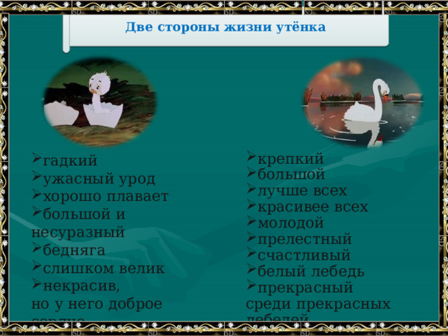Две стороны жизни утёнка гадкий ужасный урод хорошо плавает большой и несуразный бедняга слишком велик некрасив, крепкий большой лучше всех красивее всех молодой прелестный счастливый белый лебедь прекрасный но у него доброе сердце среди прекрасных лебедей 