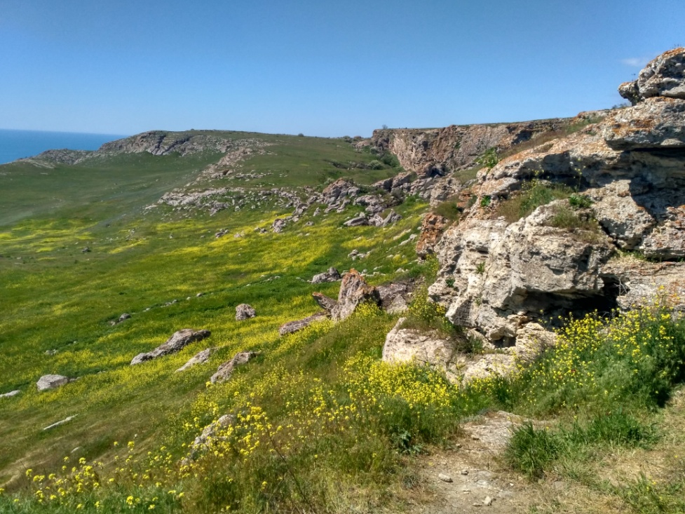 Опукский заповедник на машине