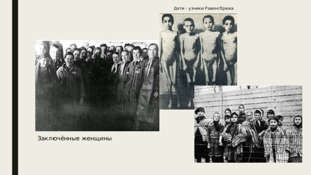 Дети - узники Равенсбрюка Заключённые женщины 