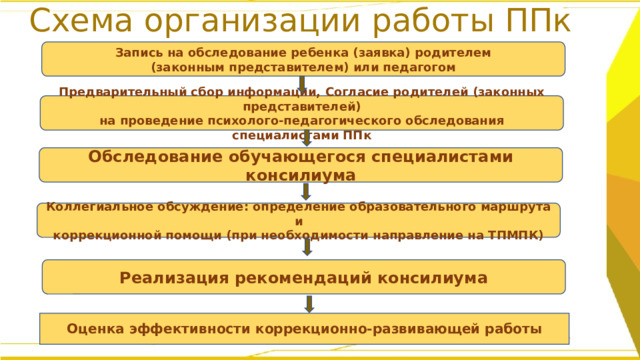 План работы ппк 2024 2025. Схема работы ППК В школе.