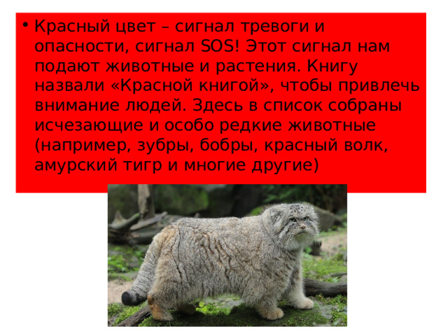 Красная книга сигнал тревоги проект методики