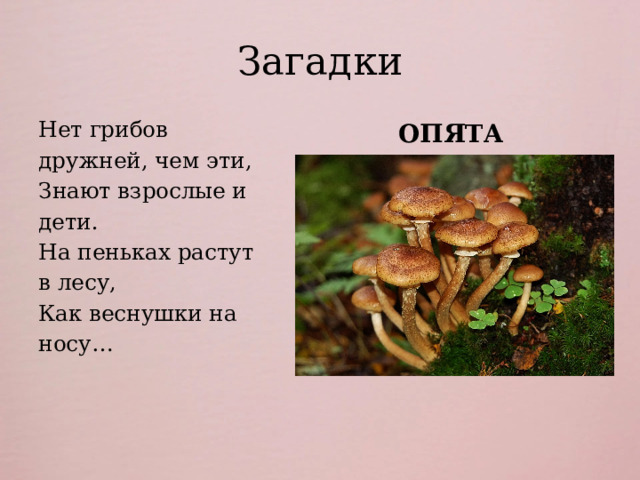 Презентация: Дидактические игры по теме "Съедобные и несъедобные грибы"