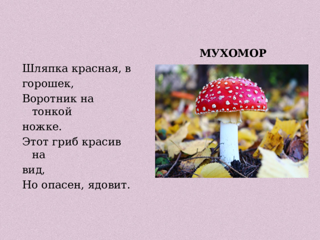 Презентация: Дидактические игры по теме "Съедобные и несъедобные грибы"