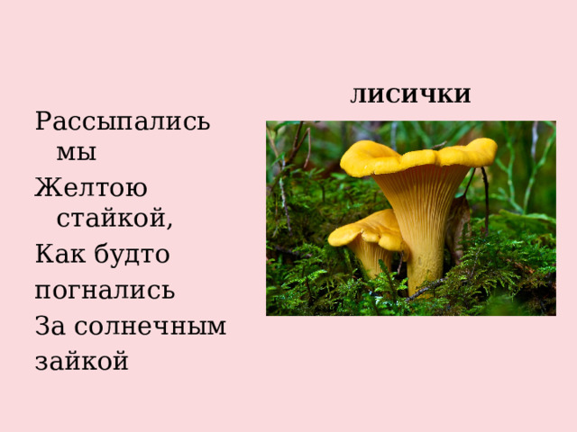 Презентация: Дидактические игры по теме "Съедобные и несъедобные грибы"