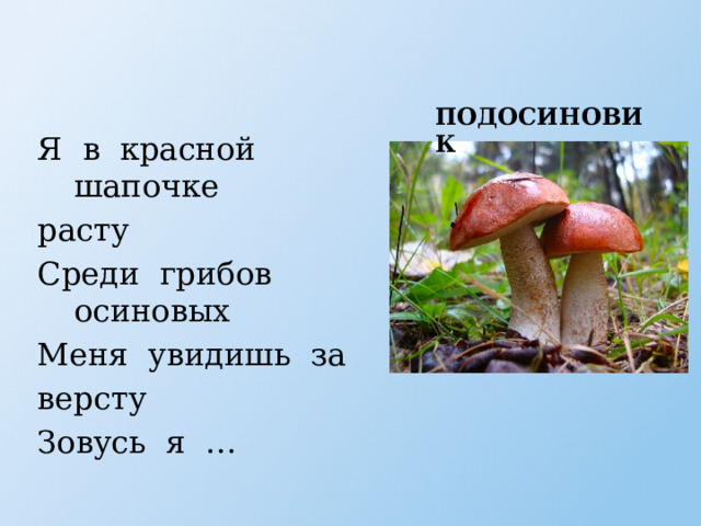 Презентация: Дидактические игры по теме "Съедобные и несъедобные грибы"