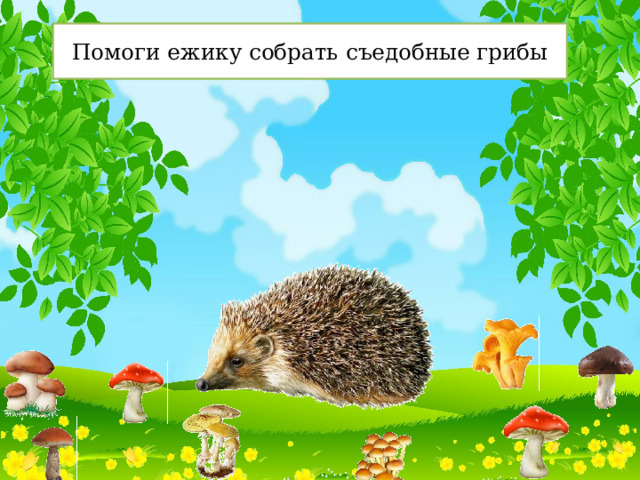 Презентация: Дидактические игры по теме "Съедобные и несъедобные грибы"