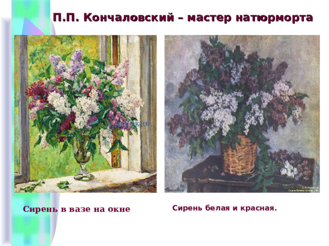 П.П. Кончаловский – мастер натюрморта на окне. Сирень в вазе на окне  Сирень белая и красная. 
