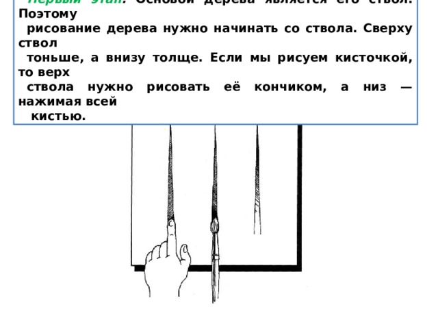Первый этап . Основой дерева является его ствол. Поэтому рисование дерева нужно начинать со ствола. Сверху ствол тоньше, а внизу толще. Если мы рисуем кисточкой, то верх ствола нужно рисовать её кончиком, а низ — нажимая всей  кистью. 