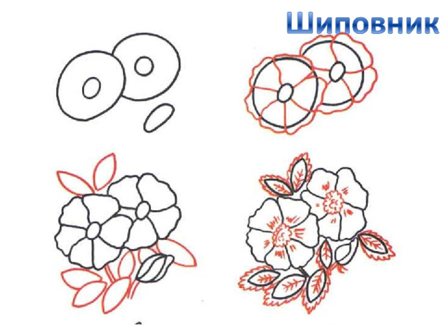 1 класс нарисовать цветы