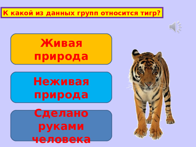 К какой из данных групп относится тигр? Живая природа Неживая природа Сделано руками человека 