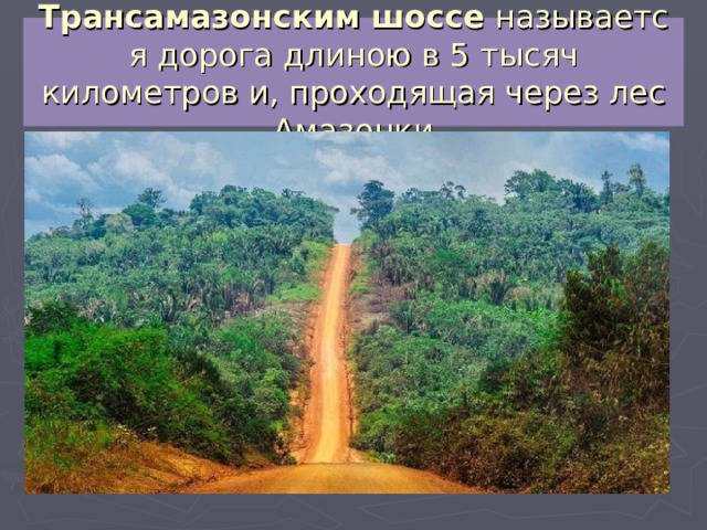 Трансамазонским   шоссе  называется дорога длиною в 5 тысяч километров и, проходящая через лес Амазонки 