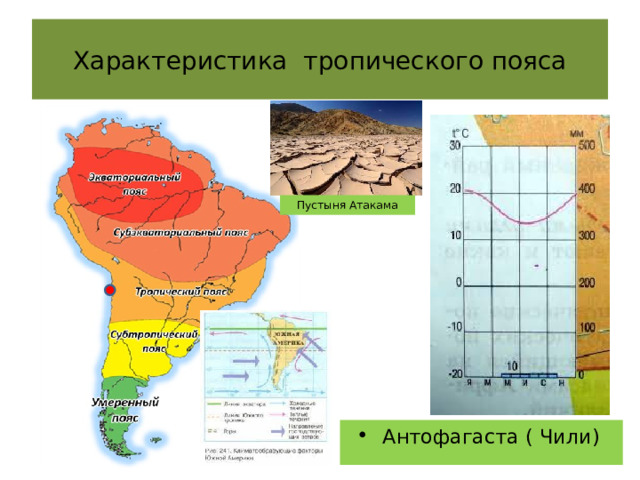 Характеристика тропического пояса Пустыня Атакама Антофагаста ( Чили) 