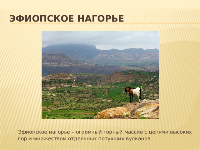 Эфиопское нагорье   Эфиопское нагорье – огромный горный массив с цепями высоких гор и множеством отдельных потухших вулканов. 