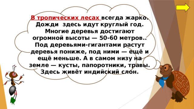 В тропических лесах всегда жарко. Дожди здесь идут круглый год. Многие деревья достигают огромной высоты — 50-60 метров.. Под деревьями-гигантами растут деревья пониже, под ними — ещё и ещё меньше. А в самом низу на земле — кусты, папоротники, травы. Здесь живёт индийский слон. 