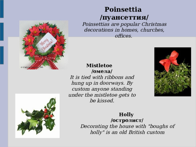 Poinsettia /пуансеттия/ Poinsettias are popular Christmas decorations in homes, churches, offices. Mistletoe /омела/ It is tied with ribbons and hung up in doorways. By custom anyone standing under the mistletoe gets to be kissed. Holly /остролист/ Decorating the house with 