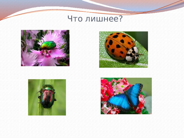 Что лишнее? 