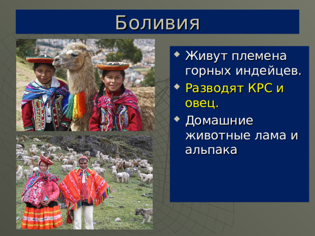Боливия Живут племена горных индейцев. Разводят КРС и овец. Домашние животные лама и альпака 