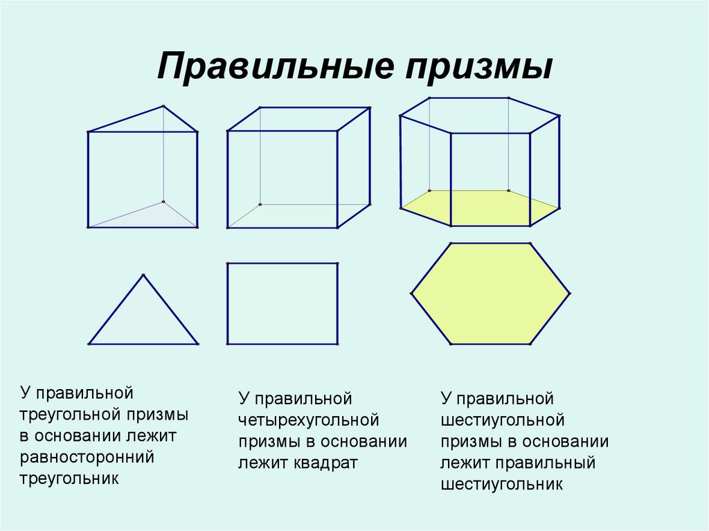 Боковые грани правильной призмы равные