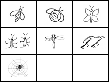 Насекомые схема для дошкольников
